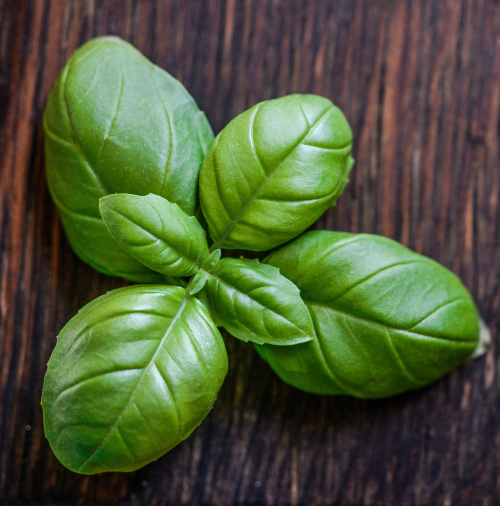 Basil Essential Oil Basil Essential Oil