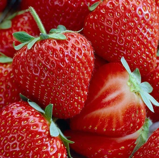 Strawberry Strawberry