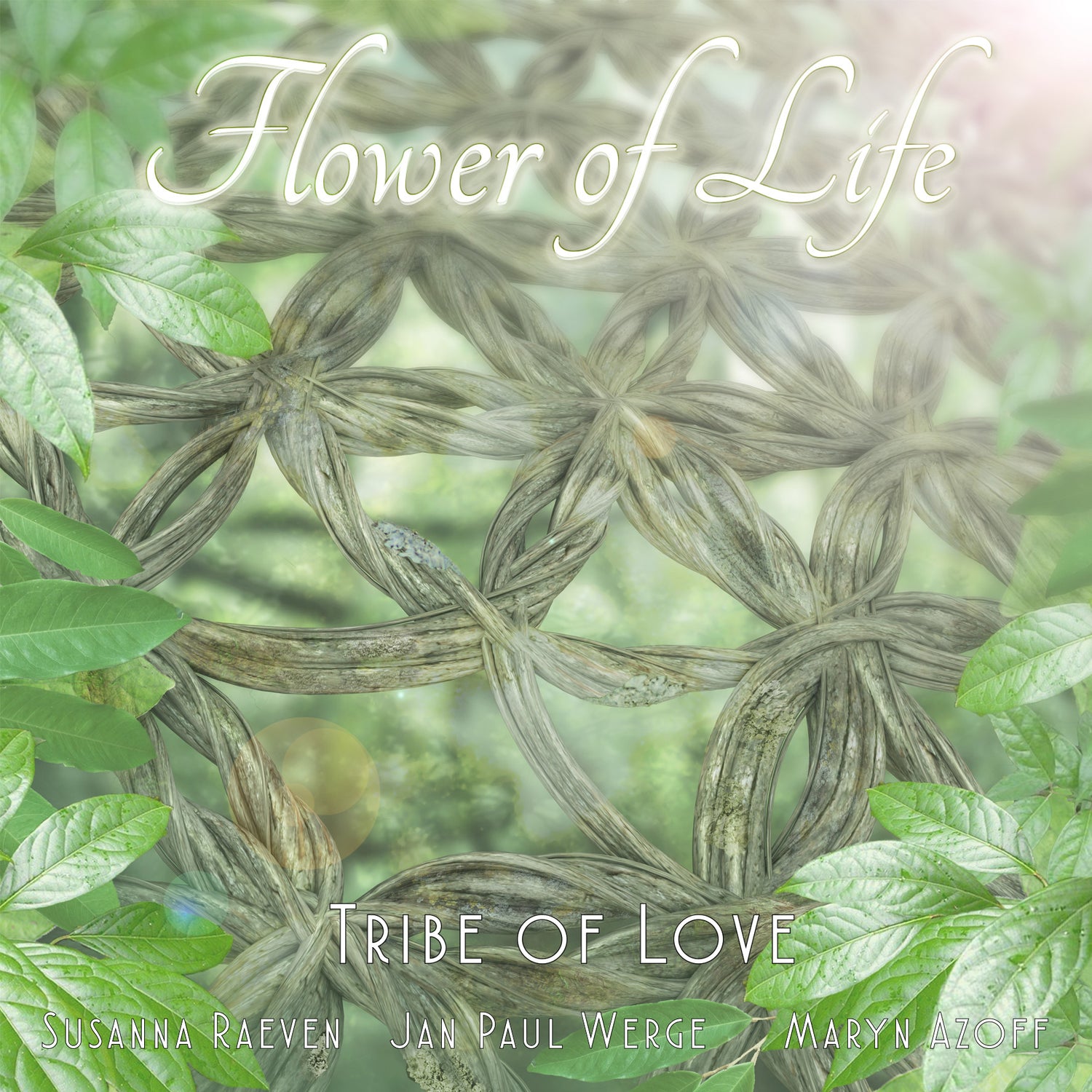 Flower of Life Medicine Music