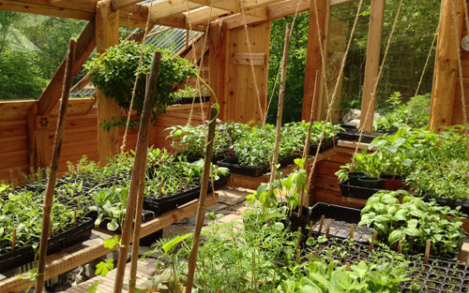 How to Build an Earth Sheltered Greenhouse