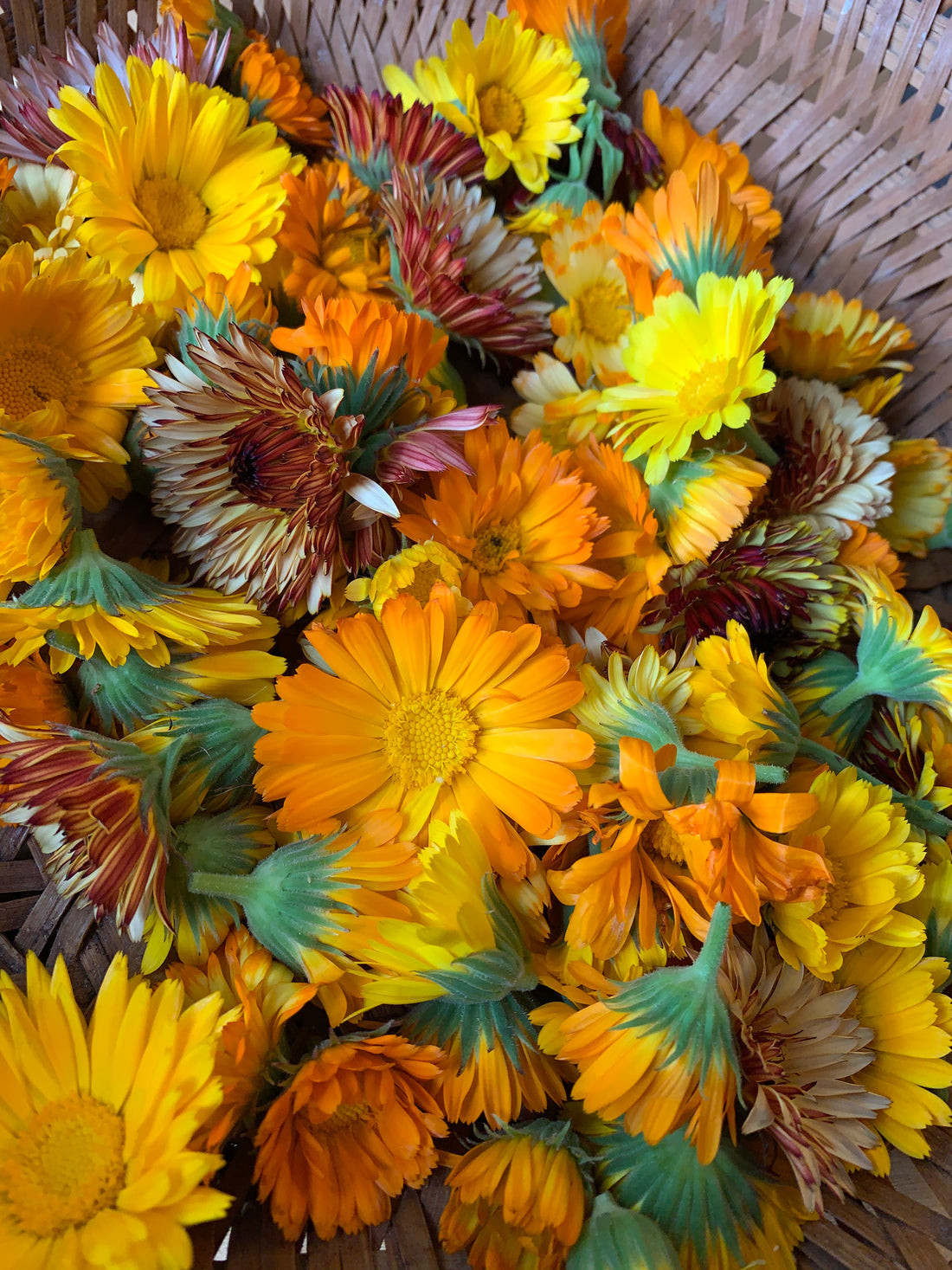 Green Medicine CSA Share - Summer