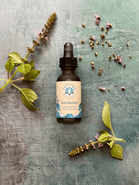 Tulsi Glycerite